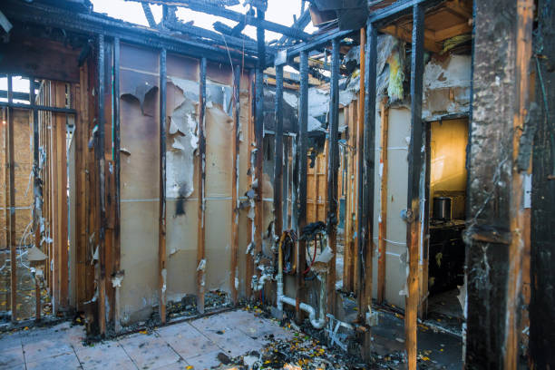 Professional Fire Damage Removal technician working in Clute, TX